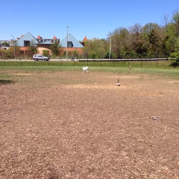Dog Park at Ben Brenman Park photo 2
